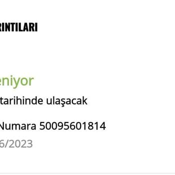Stradivarius Asil Kargo 1 Aydan Uzun Süredir Kargomu Getirmiyor