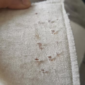 Sarıçam Pozitif Halı Yıkama Ürünleri Yırtılmış Olarak Teslim Etti