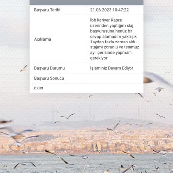 Kariyer İbb Zorunlu Staj