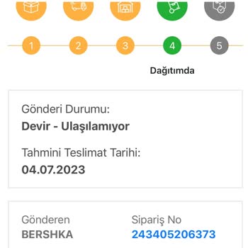 Bir Günde Kargo Teslim Tarihi Aksaklığı Ve Devir Ulaşılamıyor Problemi