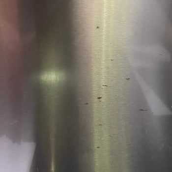 Bosch Marka Buzdolabı Kapılarının Paslanması