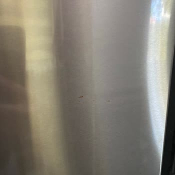 Bosch Marka Buzdolabı Kapılarının Paslanması