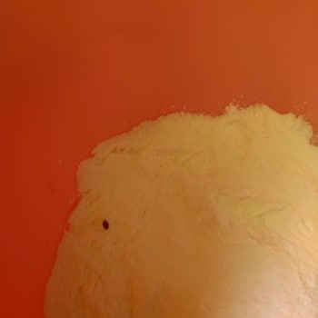 Kenton Krem Şantinin İçinden Bilmediğim Bir Şey Çıktı