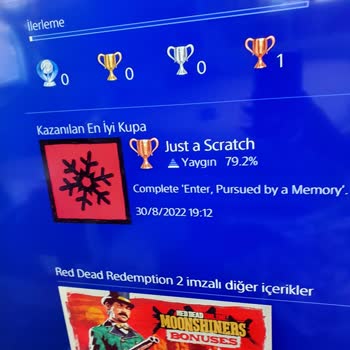 PlayStation Plus'tan Aldığım Oyun Red Dead Redemption 2 Çalışmıyor