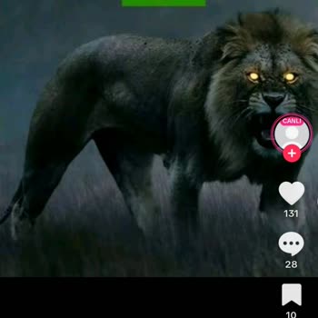 TikTok Vatana Küfür Edip Bayrağa Ayağı İle Basıyor