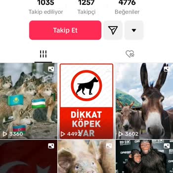 TikTok Vatana Küfür Edip Bayrağa Ayağı İle Basıyor
