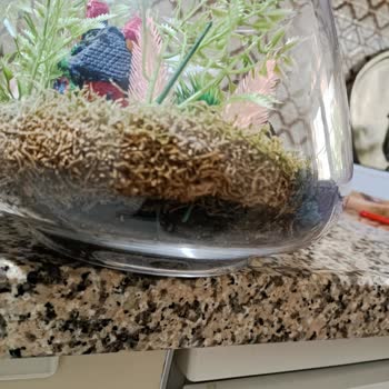 Çiçek Sepeti Kötü Yapılmış Teraryum!