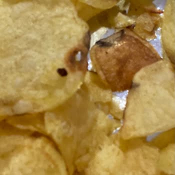 Çürük ve Bayat Lays