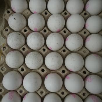 Çağrı Market Küflü Yumurta