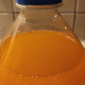 Bodrum Mandalin Gazozu'nun İçerisindeki Yabancı Nesne!