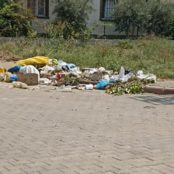 Adana Büyükşehir Belediyesi Her Taraf Çöp!