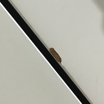 Varyap Nakliyat Hiçbir Satıcı Beni Böyle Aşağılamadı