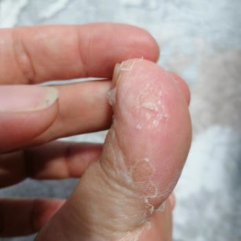 Gratis'ten Bee Beauty Ayak Maskesi