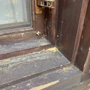 Belkon Belek Hotel Kalitesiz Hizmet