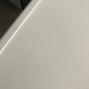 Bosch Dishwasher Delivery Nightmare with No Support