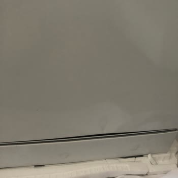 Bosch Dishwasher Delivery Nightmare with No Support