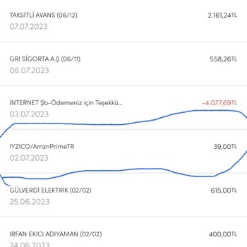 iyzico Bilgim Dışında Bir Çok Kez Para Çekmiş! 317 TL 2 Kere Ve 40 TL