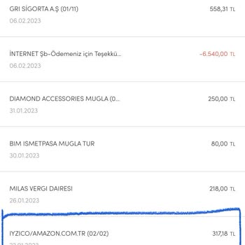 iyzico Bilgim Dışında Bir Çok Kez Para Çekmiş! 317 TL 2 Kere Ve 40 TL