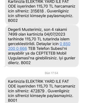 E-Devlet (Turkiye.gov.tr) Elektrik Desteği Yardımı Hatası