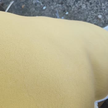 Migros Ortopedik Yastık Sorunsalı