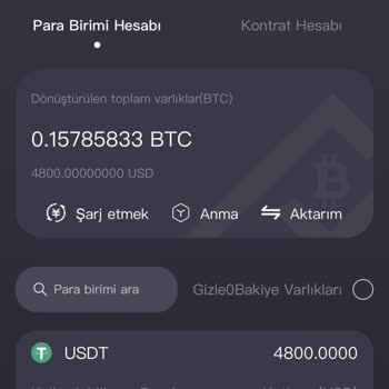 Televistion.xyz 'de Maddi Kayıp