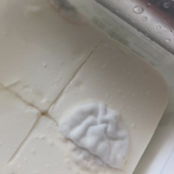 Ekici Yeni Açılan Peynir Küflü Çıktı
