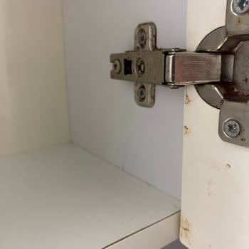 Evde Temizlik Var Kötü Hizmet