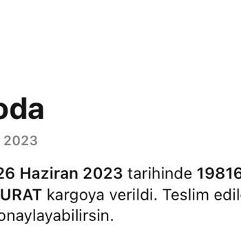 Kargo Gecikmesi Sürat Kargo Kullanma