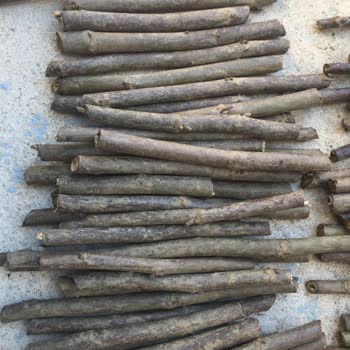 Bursatarım Market Ceviz Aşı Kalemi