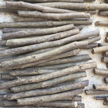 Bursatarım Market Ceviz Aşı Kalemi