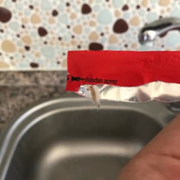 Funny Gıda Paketin İçinde Kurtlanma Kelebeklenme