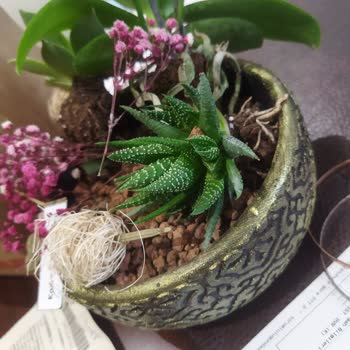 Çiçek Sepeti'nden Çiçeğim Bozuk Geldi