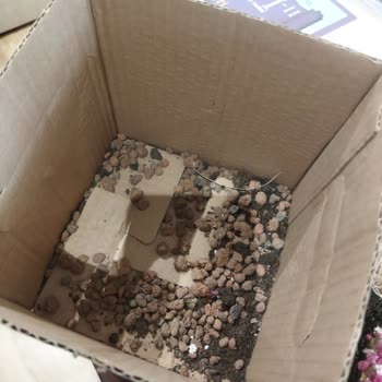 Çiçek Sepeti'nden Çiçeğim Bozuk Geldi