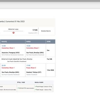 Uçuş İptali ve Koskoca THY'nin İptal Olan Uçuşa Yeni Bir Bilet Vermedi