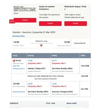 Uçuş İptali ve Koskoca THY'nin İptal Olan Uçuşa Yeni Bir Bilet Vermedi