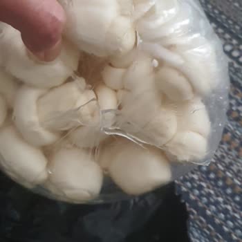 Peynirci Dayı Gelen Bidonu Patlamış Ve İlgisiz Satıcı