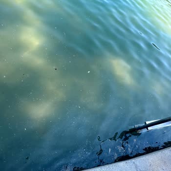 Club & Hotel Letoonia Fethiye Sıfır Hijyen, Sıfır Hizmet