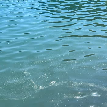 Club & Hotel Letoonia Fethiye Sıfır Hijyen, Sıfır Hizmet