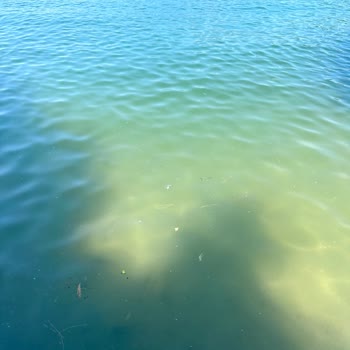 Club & Hotel Letoonia Fethiye Sıfır Hijyen, Sıfır Hizmet