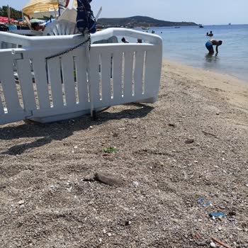 Marmara Adalar Belediyesi Avşa Adası Arıtma Tesisi Önü Şezlong İşgali