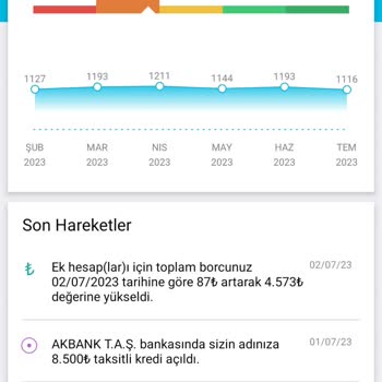 Findeks Notu Neden Ren Yükselmiyor