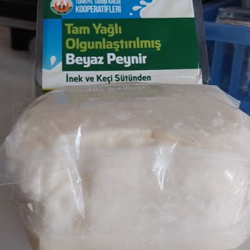 Tarım Kredi Kooperatif Market Ayıplı, Bozuk Peynir