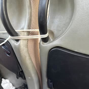 Lale Seyahat Karasu Yolculuğu Dd