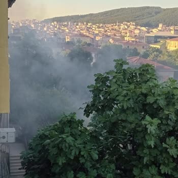 Sultanbeyli Kaymakamlığı Yoğun Duman Sorunu