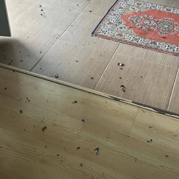 Realx Bilişim Realx Masaj Aleti Bataryası Patladı Hiç Güvenli Bir Marka Değilmiş