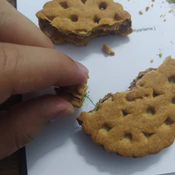 Ülker Probis Bisküvi İçerisinden İpler Çıktı