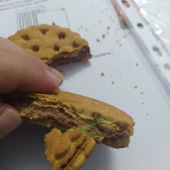 Ülker Probis Bisküvi İçerisinden İpler Çıktı