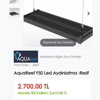 Ege Akvaryum Kaplumbağa Dan Yavaş