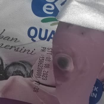 Sek Süt Yoğurdun Küflü Çıkması