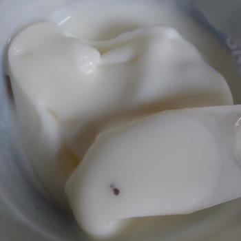 Tatbak Gıda Tatdo Dondurma Böcek